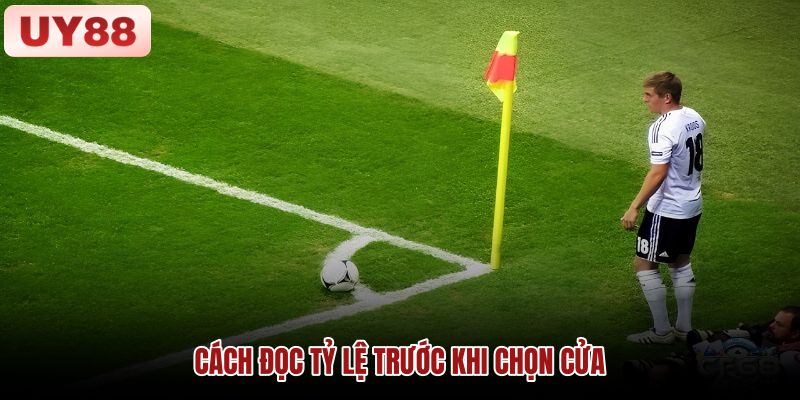 cach-doc-ty-le-truoc-khi-chon-cua cach-doc-ty-le-truoc-khi-chon-cua