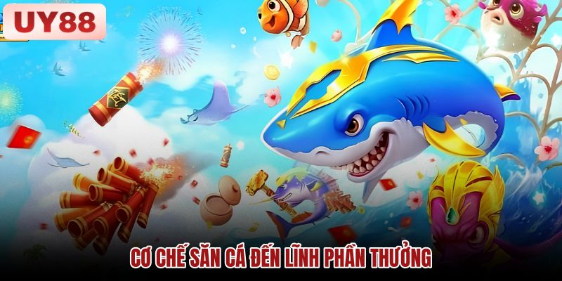 co-che-san-ca-den-linh-phan-thuong co-che-san-ca-den-linh-phan-thuong